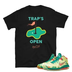 Lebron 9 Arnold Palmer Shirt
